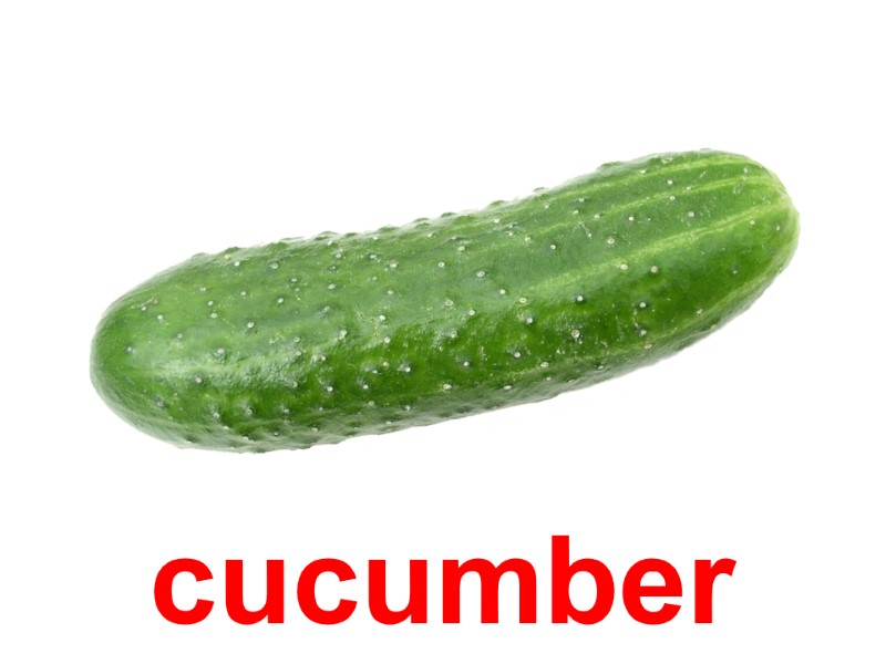 cucumber